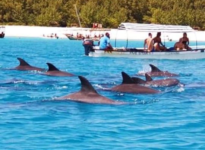 Mnemba Island Private tour for Dolphins & Snorkeling