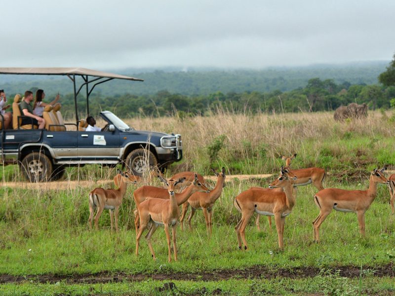 Mikumi Day Trip from Zanzibar