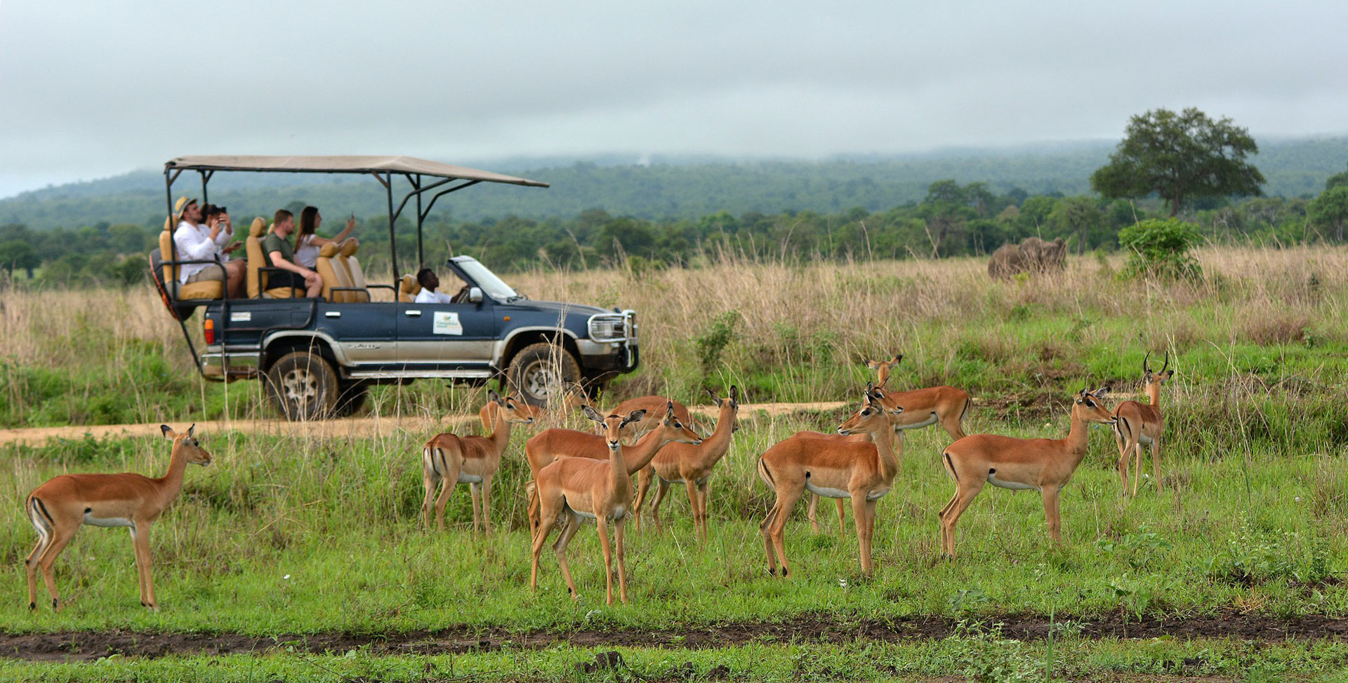 Tanzania Safari