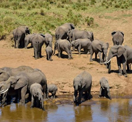 3 Days Tarangire Ngoro Ngoro
