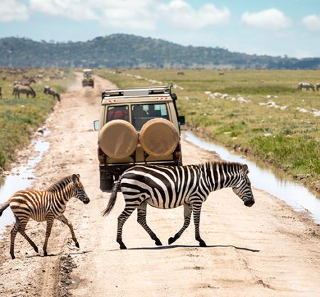 3 Days 2 Nights Serengeti
